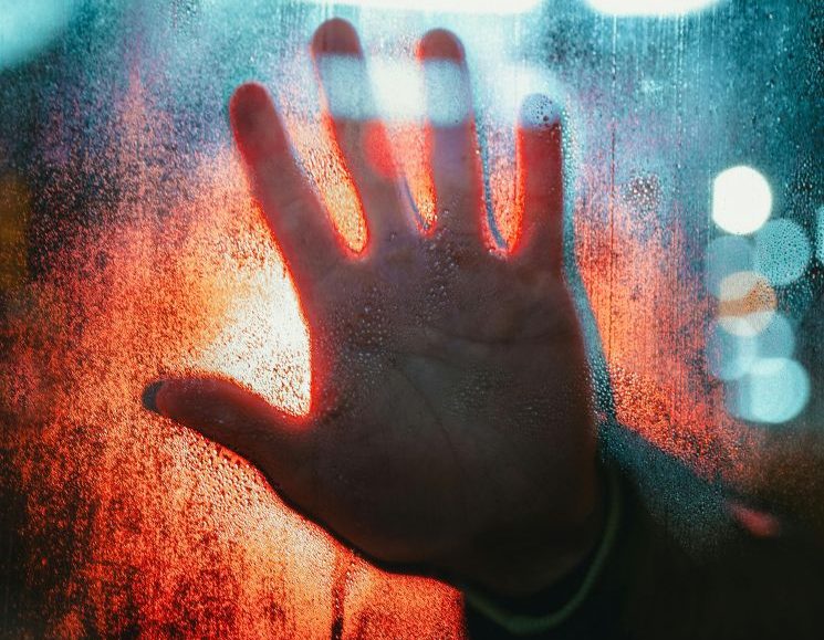 תוסף מעקב אחרי שינויי מנהלים באתר